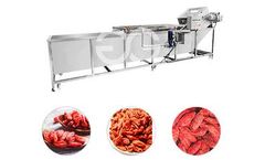 Gelgoog - Model GG-XQ - Commercial Wolfberry Cleaning Washing Machine