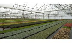 Resif  Sera - Modern Greenhouse / Gothic Greenhouses