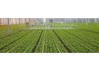 Resif-Sera - Boom Irrigation System