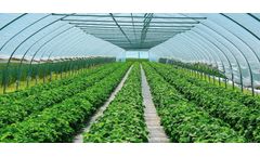Resif-Sera - Traditional Greenhouse