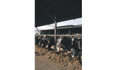 NIR Equipment for Dairy