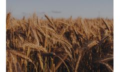 NIR Equipment for Grain + Oilseed