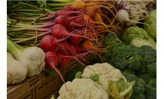 NIR Equipment for Produce