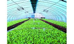 Luguan Plastic - Special Thermic Agricultural Films
