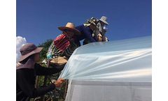 Luguan Plastic - Light Diffusion Agricultural Films