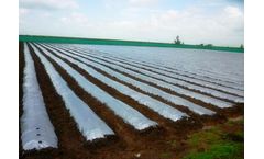 Luguan Plastic - Black & Silver Mulch Films