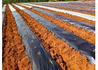 Luguan Plastic - Herbicidal Mulch Films
