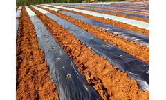 Luguan Plastic - Herbicidal Mulch Films