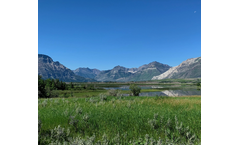 Soil Remediation Solutions for Environmental Restoration