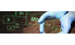 Remediating Soil While Preserving Soil Structure