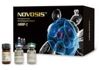 NOVOSIS - rhBMP-2 + HA Carrier