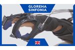 Gloreha Sinfonia: Neuromotor Rehabilitation of the Upper Limb - Video