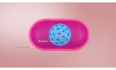 Mechanism of Action Video - Video