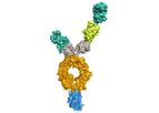 Onegene Biotechnology - Multi-Target Therapeutics