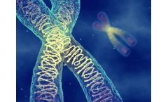 PharmAbcine - Fully Human Antibody Library (HuPhage Library)