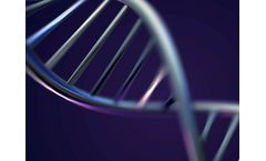 PharmAbcine - Bispecific Antibody Engineering Service