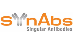 Epigenetic Antibodies