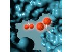 GlycoConnect - Antibody-Drug Conjugation Technology