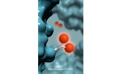 GlycoConnect - Model ADC - Antibody-Drug Conjugation