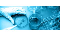 Sibylla - Early Stage Drug Discovery Technology
