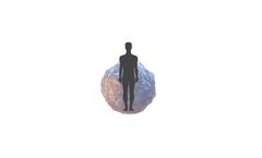 InSphero 3D InSight - Human Islet Microtissues Uniform