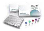 Mercurius - Model BRB-seq - Library Preparation Kits for Illumina
