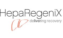 HepaRegeniX - Translation into the Clinic