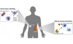Oncolytic Virotherapy