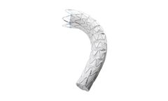 Ankura - TAA Stent Graft Product Specification