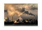 Carbon Credit Services