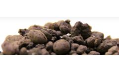 Rivashaa - Soilless Media & Soilless Substrate or Soilless Substrate Clay