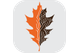 Compostal Ltd.