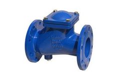 Botou - Model DIN3202 F6 - HVC1001 - Cast Iorn Ball Check Valve