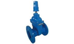 Botou - Model BS5163 -HVA2004 - Light Type Resilient Seated Gate Valve