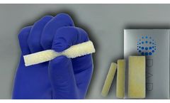 BAB - Demineralized Cancellous Sponge