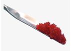 Activioss - Synthetic and Bioactive Bone Graft Substitute Granules Membrane