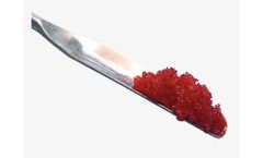 Activioss - Synthetic and Bioactive Bone Graft Substitute Granules Membrane