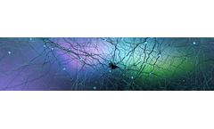 BioXcel - Model BXCL501 - Neuroscience Medicine