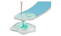 Single-cell omics with Live-seq