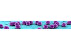 Destiny Pharma - Model XF-73 - Dermal Infections
