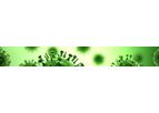 Destiny Pharma - Model SPOR-COV - Vaccine for COVID-19