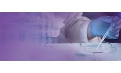 Translational Medicine Services