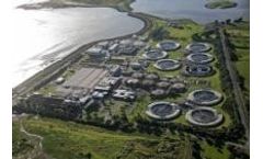 Bio-Liar Bacteria Multiplies Media for Bioremediation