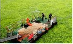 Bio-Liar Bacteria Multiplies Media for Lake & Water Body Clean-Up