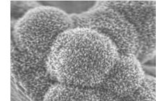 MetaMateria - Novel Porous Ceramic Composites