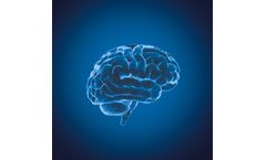 Myrian - Version XP-Brain - Head Perfusion CT