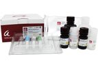 SARS-CoV-2 Proteins and Kits