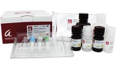 SARS-CoV-2 Proteins and Kits