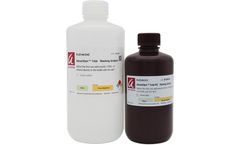 AdvanStain - Total Fluorescent Protein Staining Kits