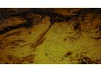 SteadyMet - Solar Energy Forecasts Based on Meteorological Models